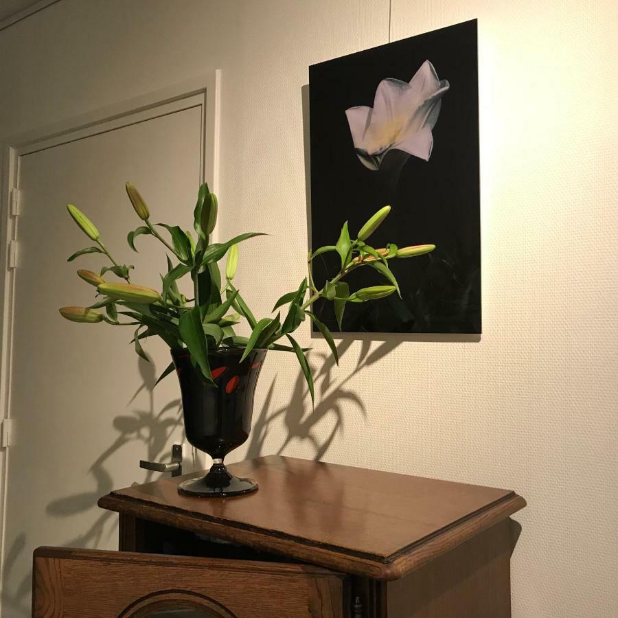 Tilias 호텔 Ellewoutsdijk 외부 사진